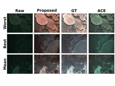 Research visualization